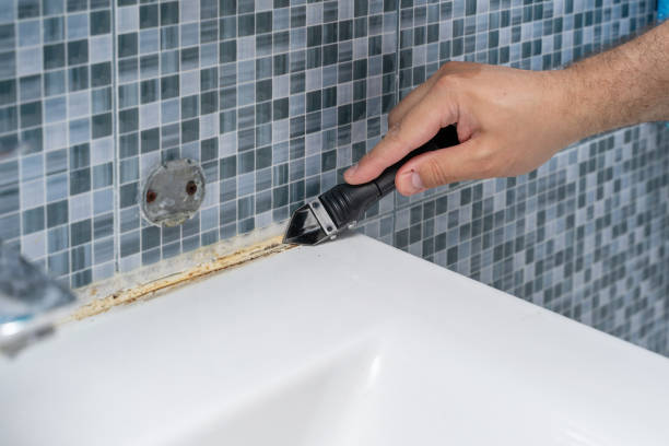 Home Mold Removal in Beach, ND