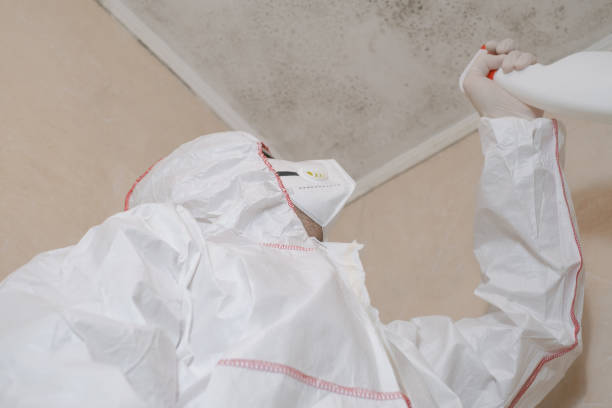 Beach, ND Mold Removal Company